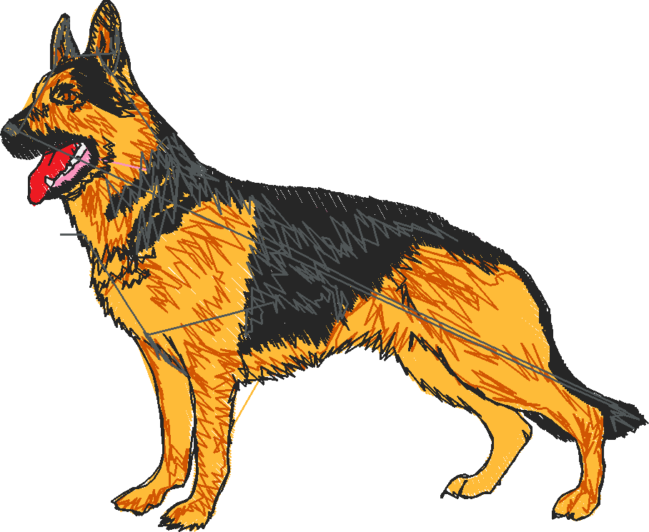 Dogs 1  (34)