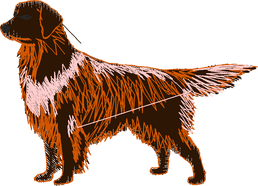 Dogs 1  (9)