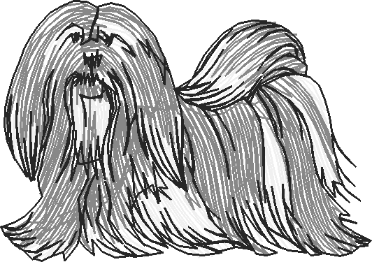 Dogs 13  (19)