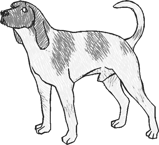 Dogs 13  (3)