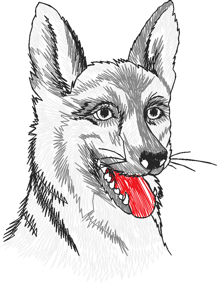 Dogs 13  (5)