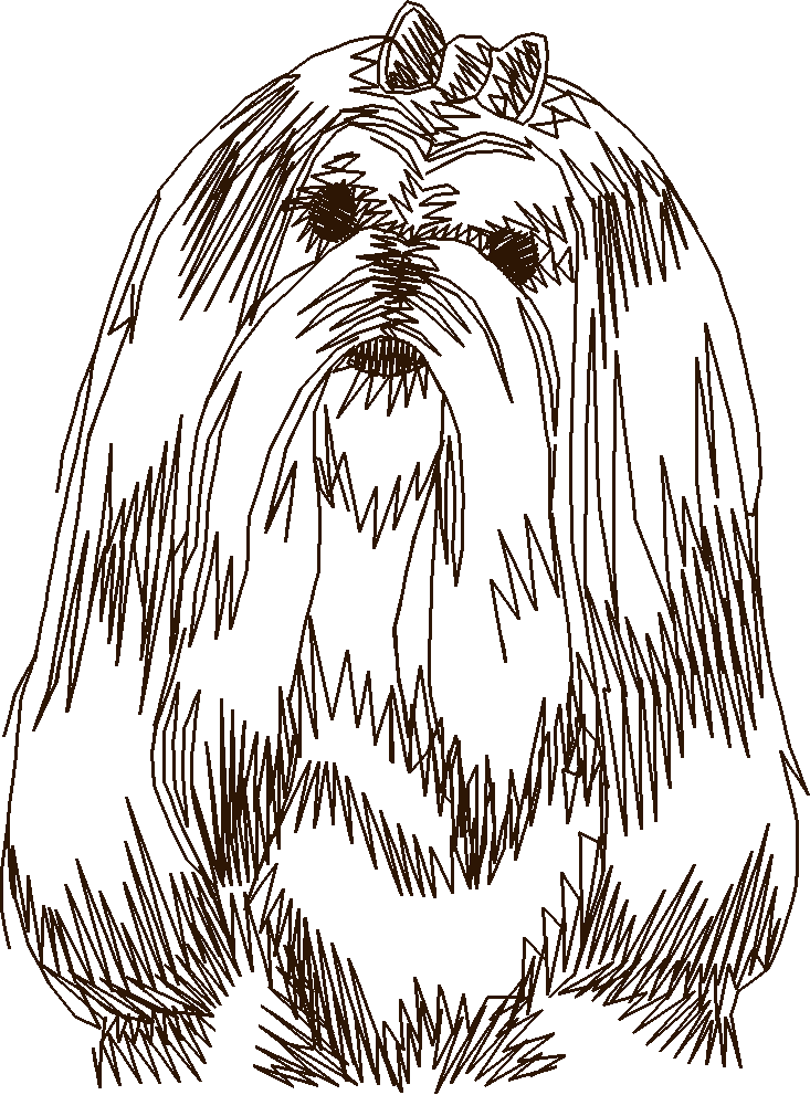 Dogs 14  (15)