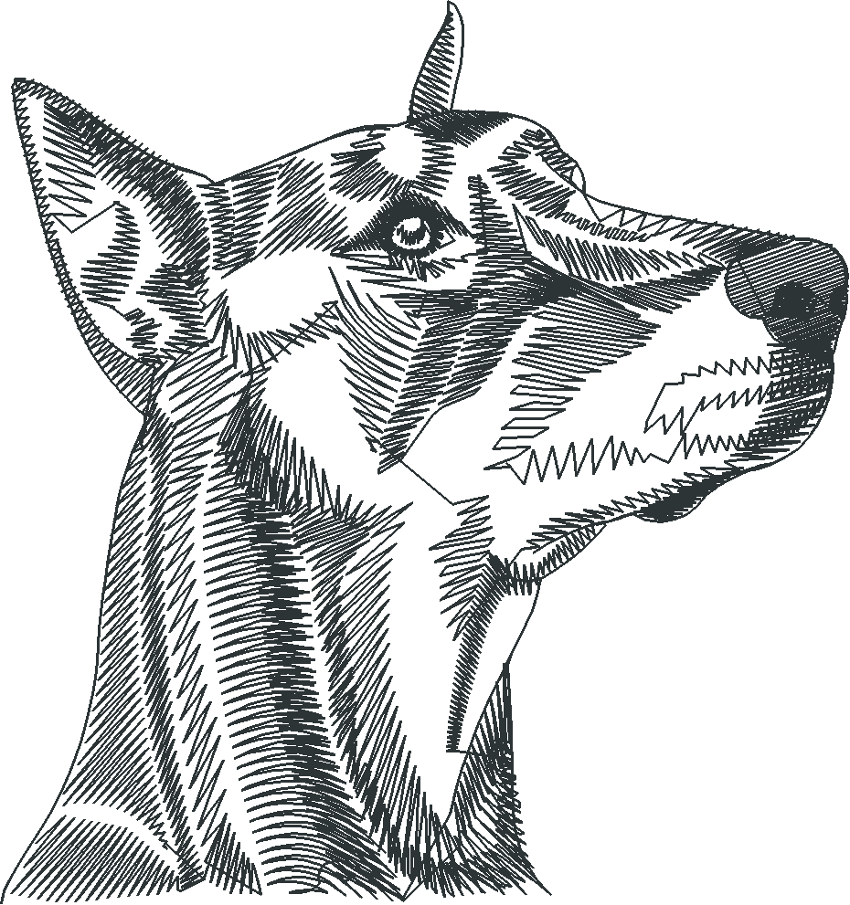 Dogs 14  (2)