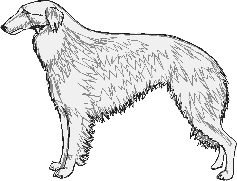 Dogs 15  (11)