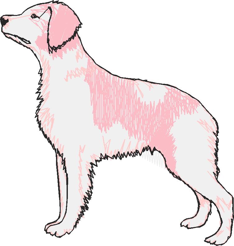 Dogs 16  (14)