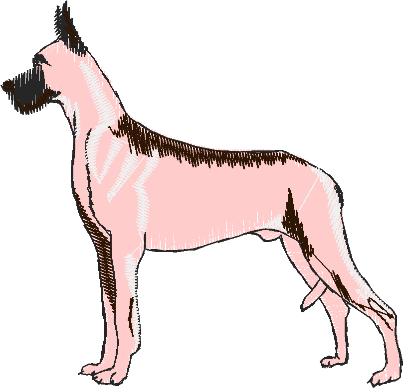 Dogs 16  (5)