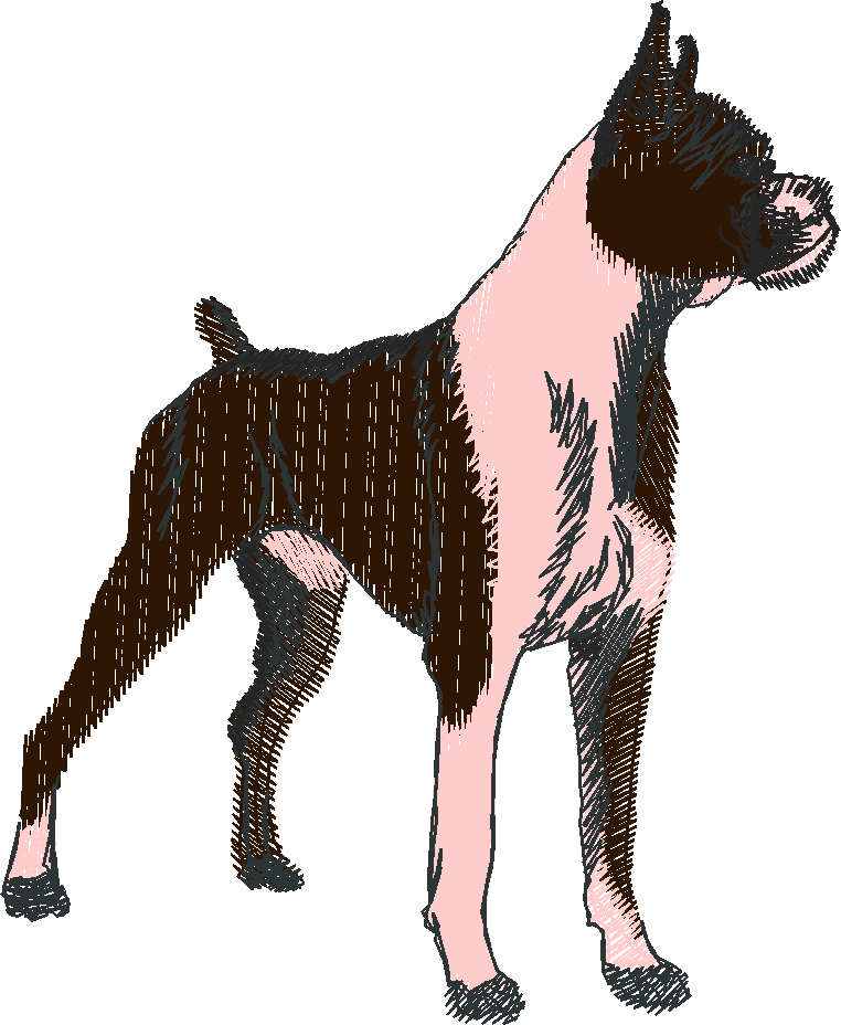 Dogs 18  (4)