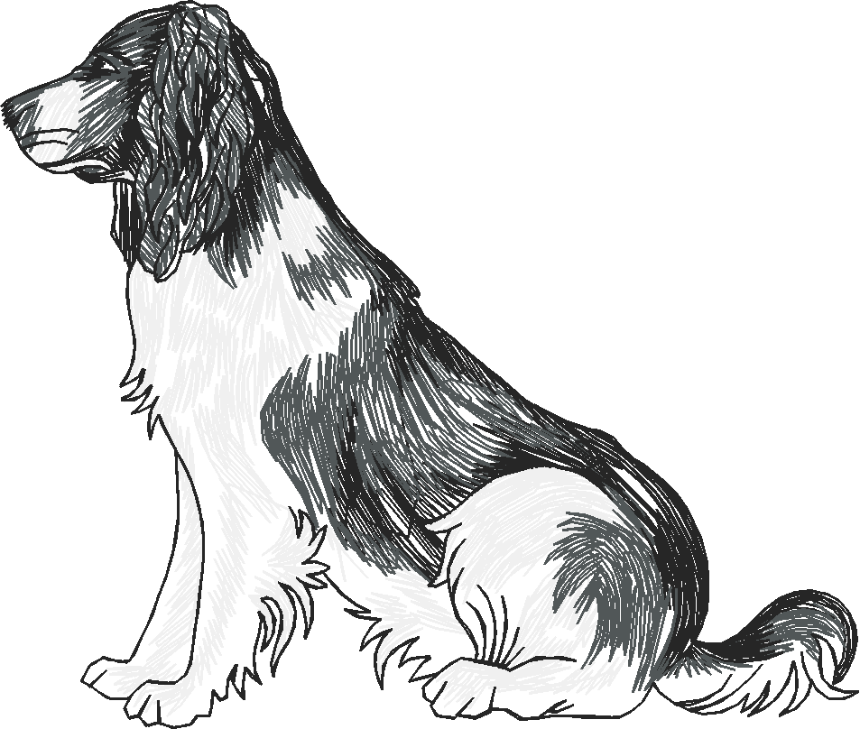 Dogs 19  (10)