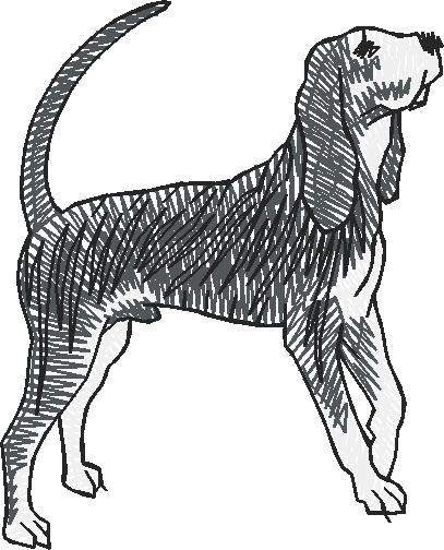 Dogs 19  (14)