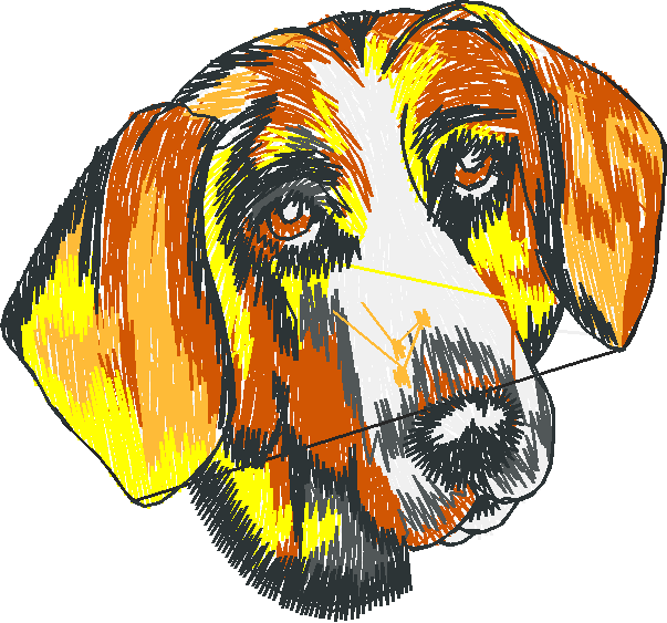 Dogs 20  (3)