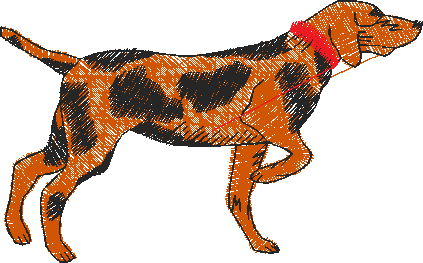 Dogs 20  (8)