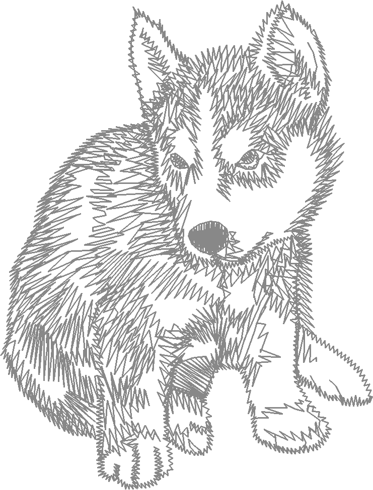 Dogs 23  (6)