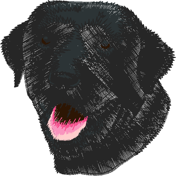 Dogs 5  (10)