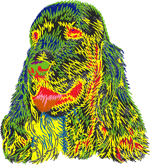 Dogs 5  (17)