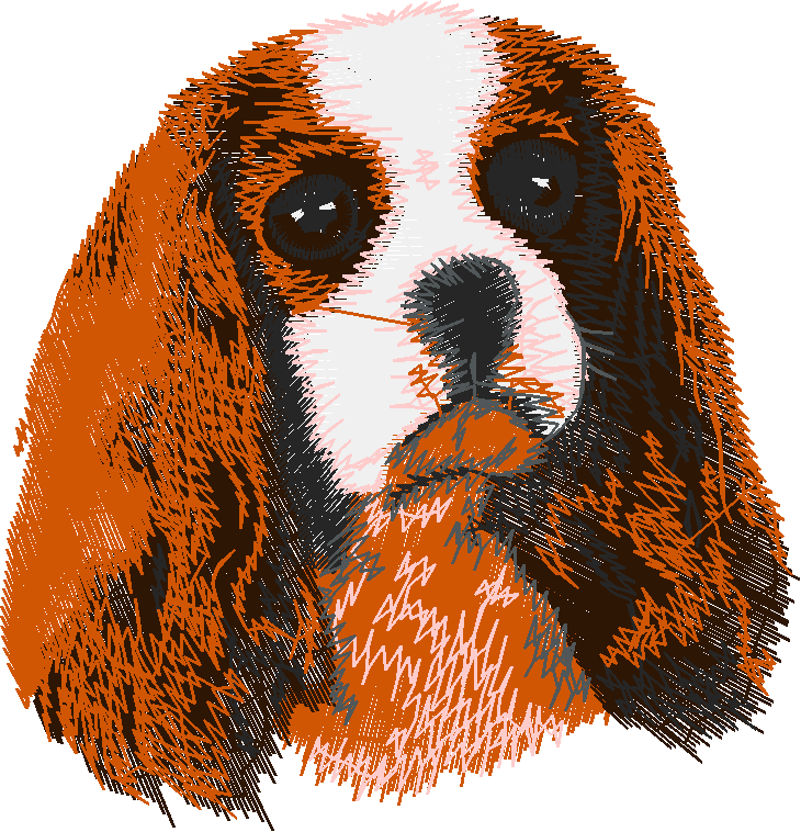 Dogs 5  (36)