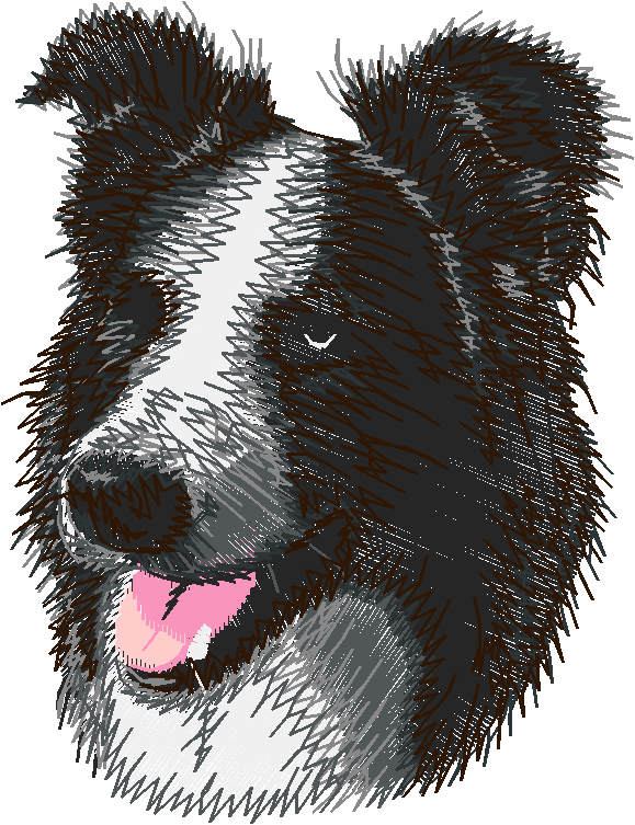 Dogs 5  (49)