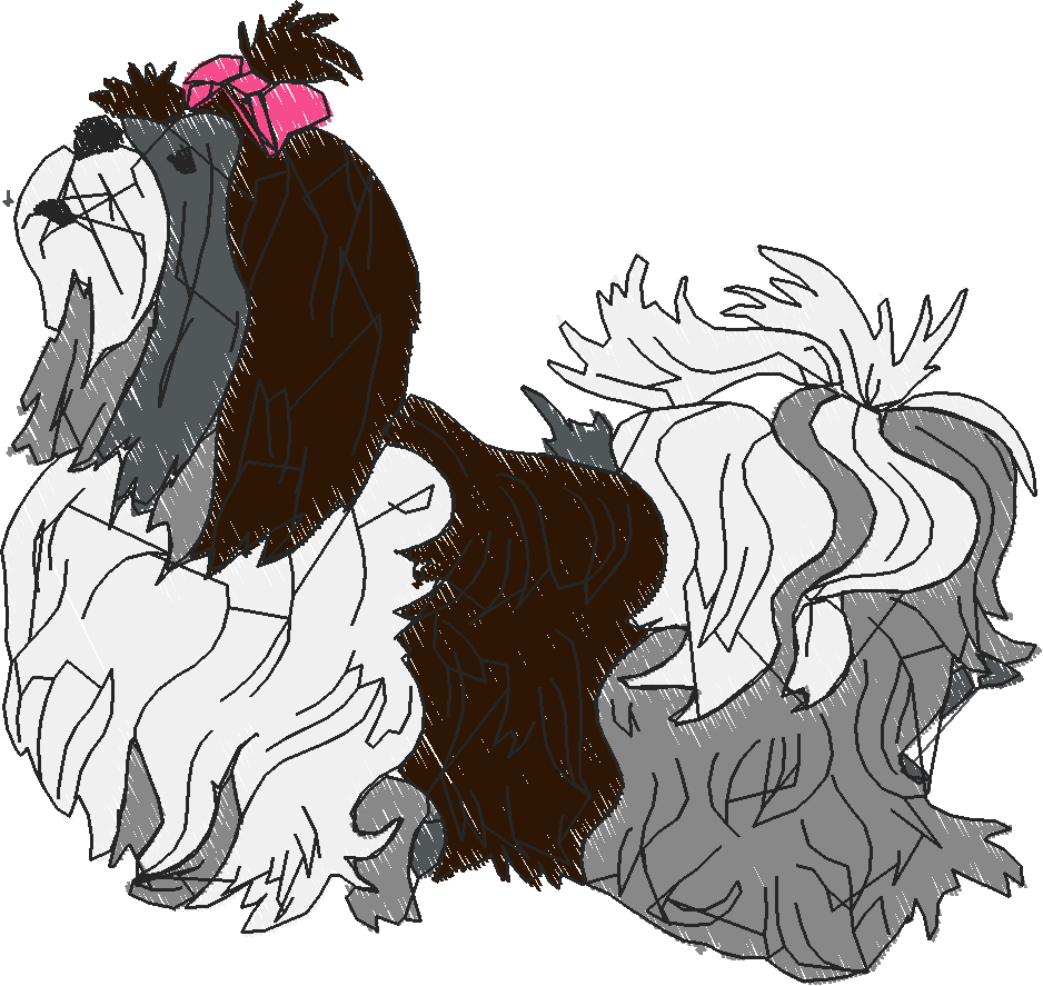 Dogs 6  (23)