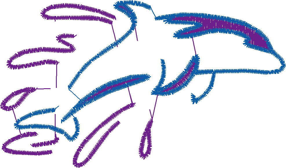 Dolphins 5  (13)