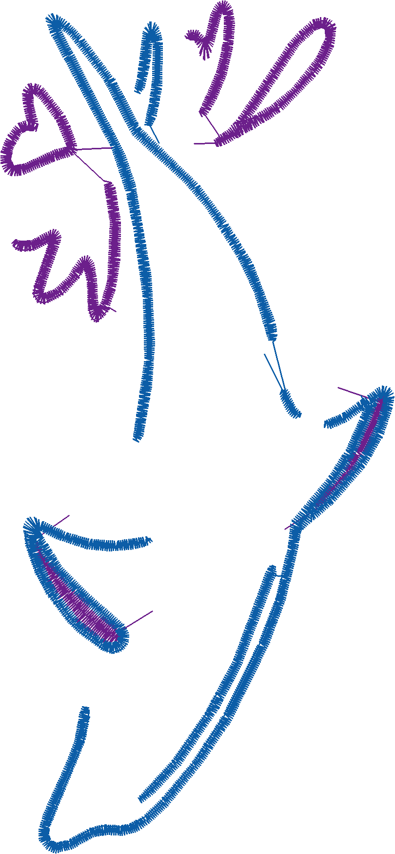 Dolphins 5  (27)