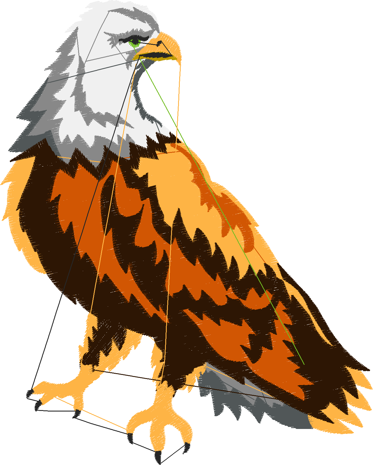 Eagles 1 (11)