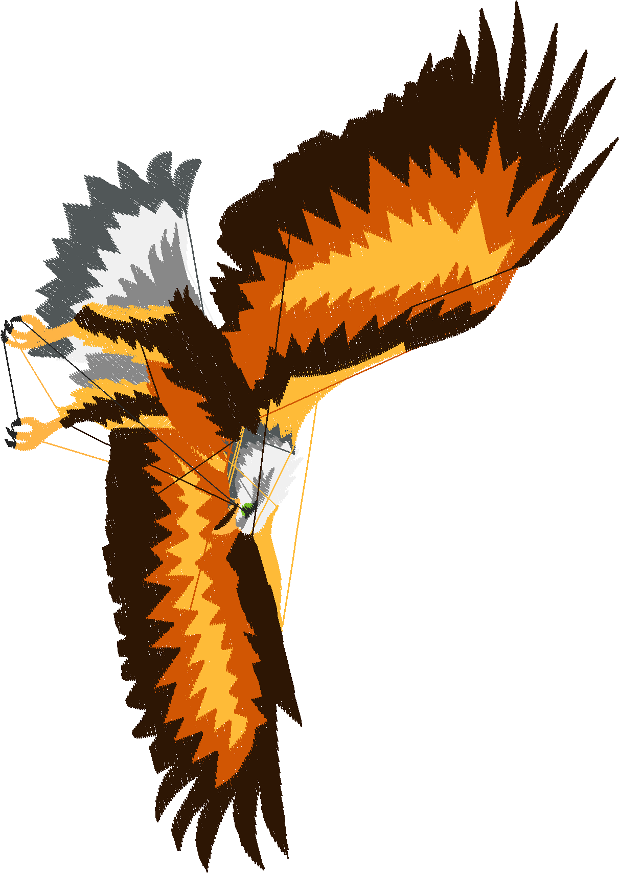 Eagles 1 (16)