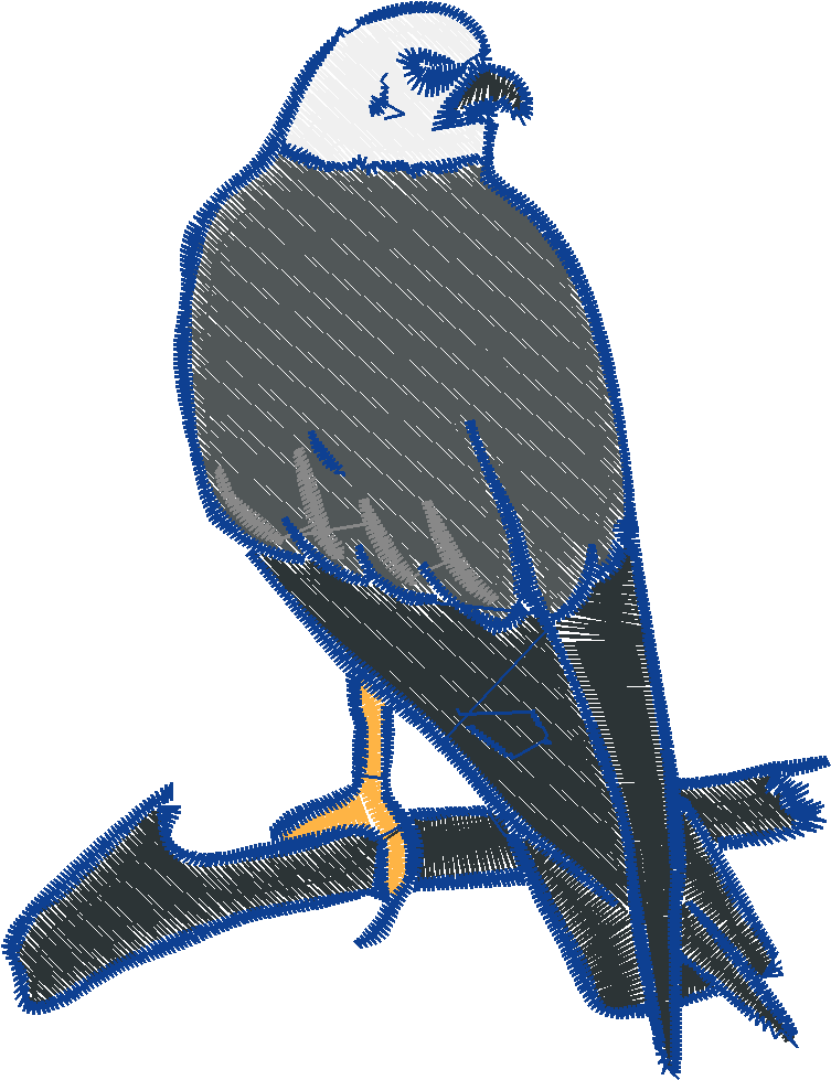 Eagles 1 (6)