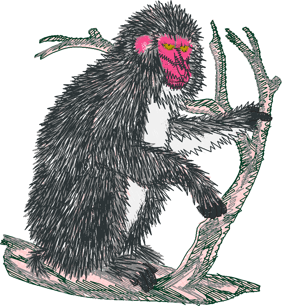Japanesemacaque