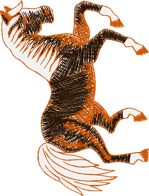 Equestrian 1 (15)