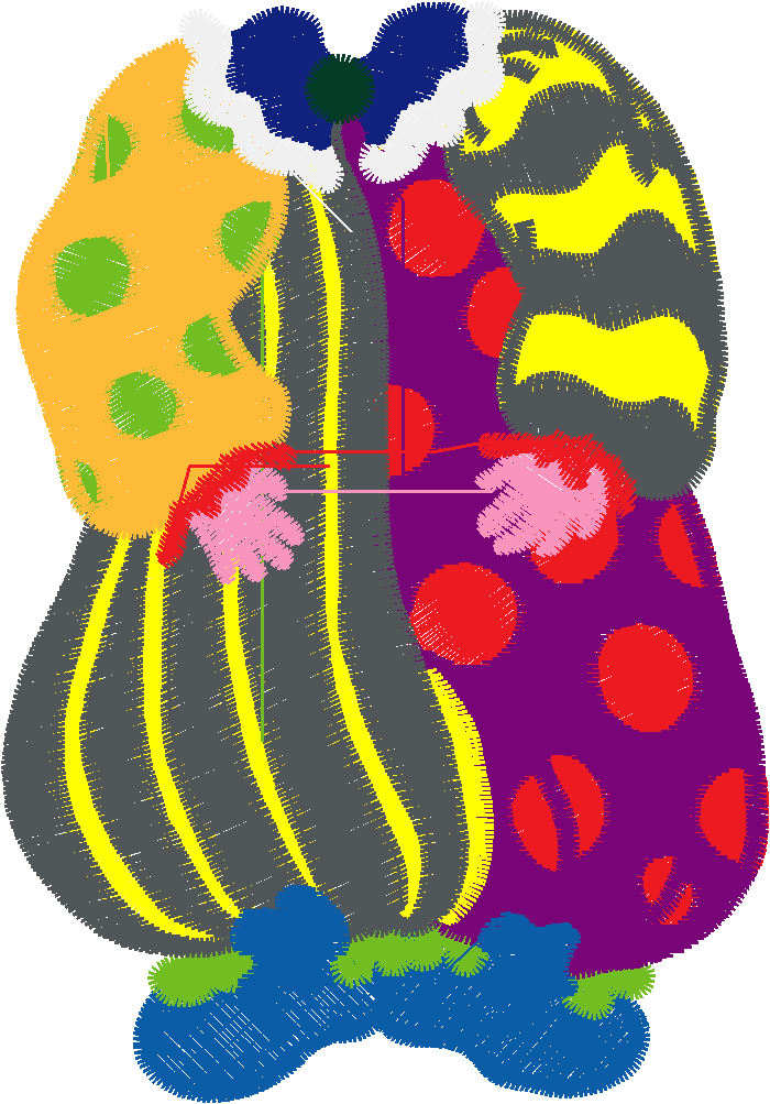 Clown#