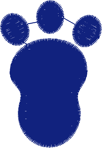 Bearfoot