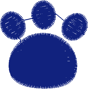 Bearpaw