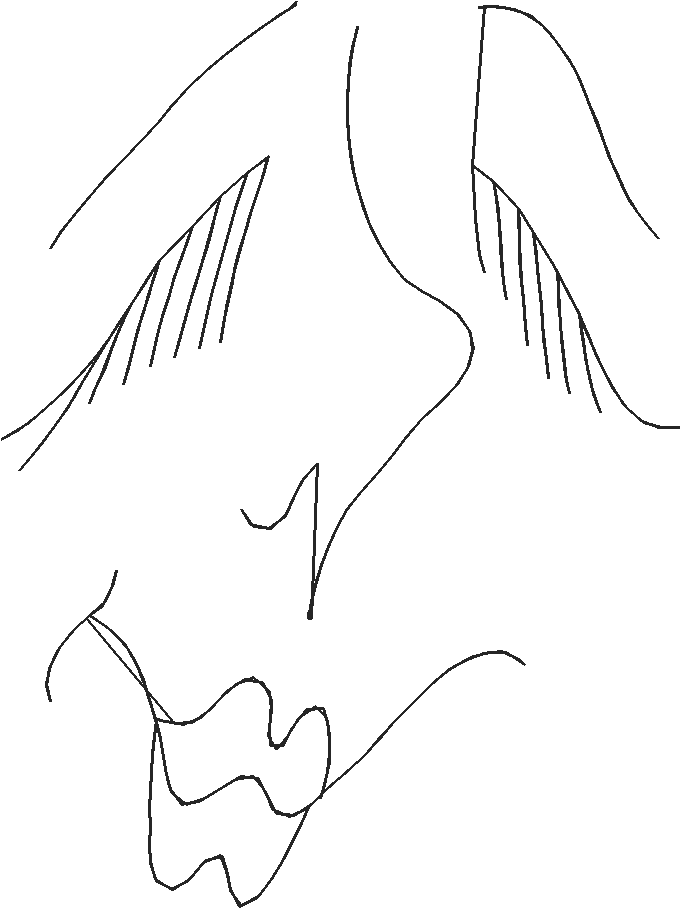 Faces 1  (20)