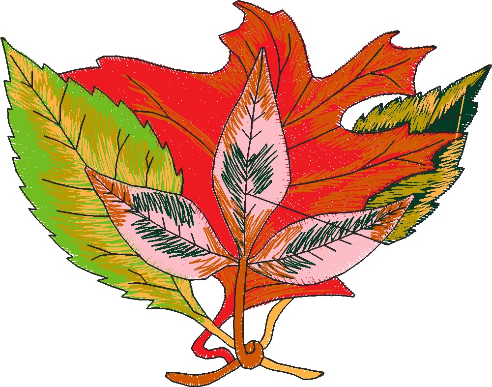 Fall 2  (12)