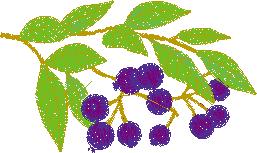 Fancy Fruit 1 (7)