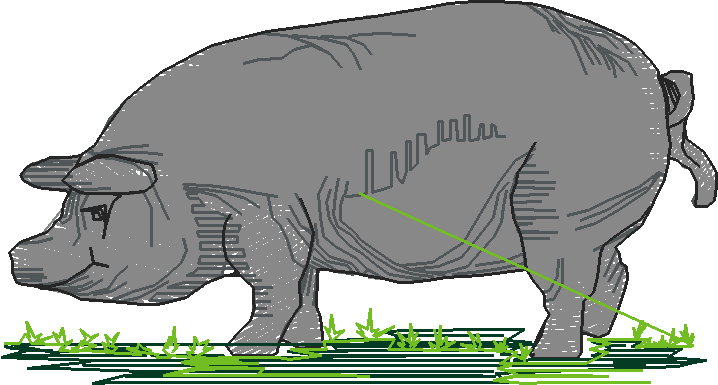 Farm Animals 2  (1)