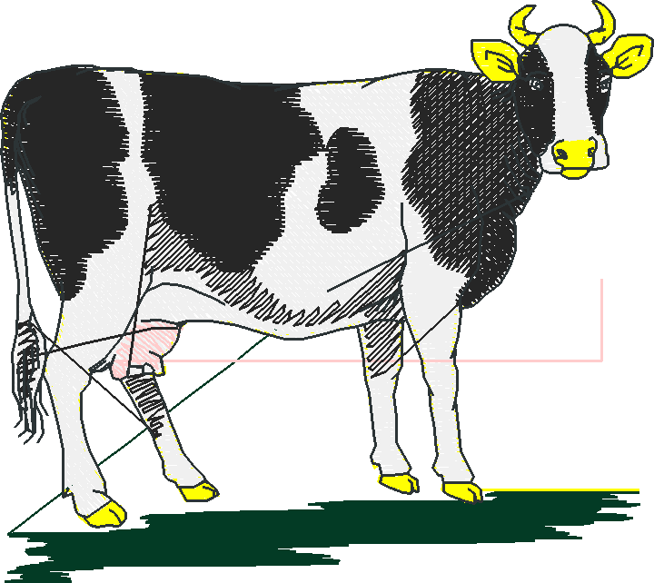 Farm Animals 2  (2)