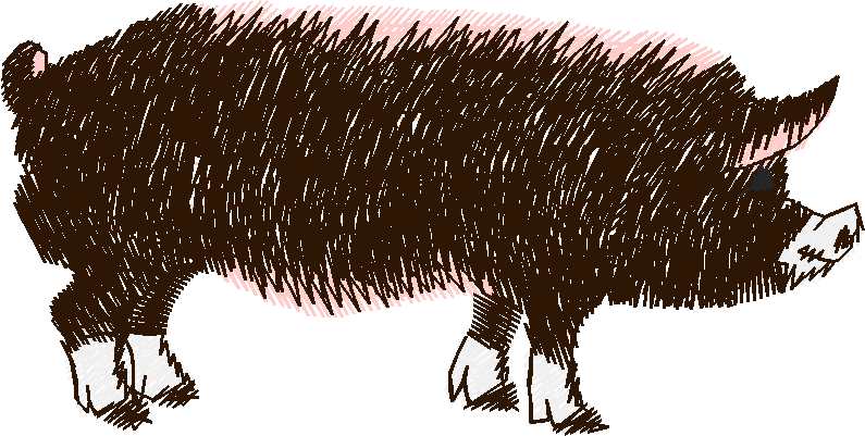 Farm Animals 5  (6)