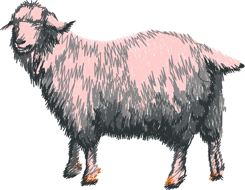 Farm Animals 5  (8)