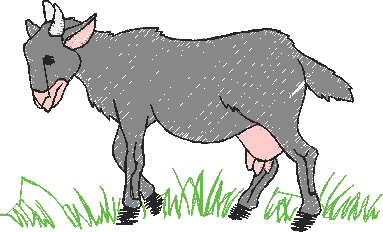 Farm Animals 6  (4)