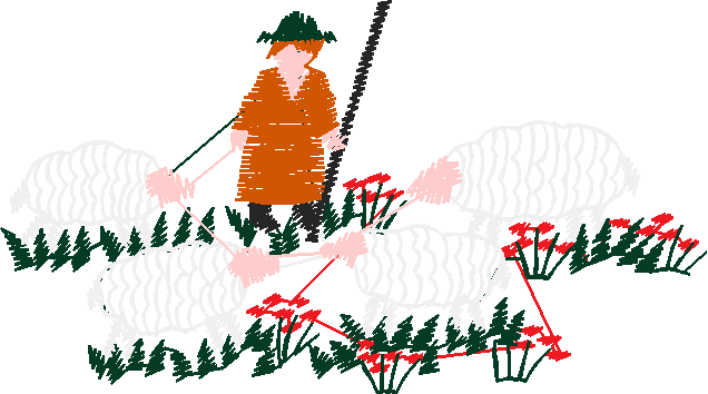 10