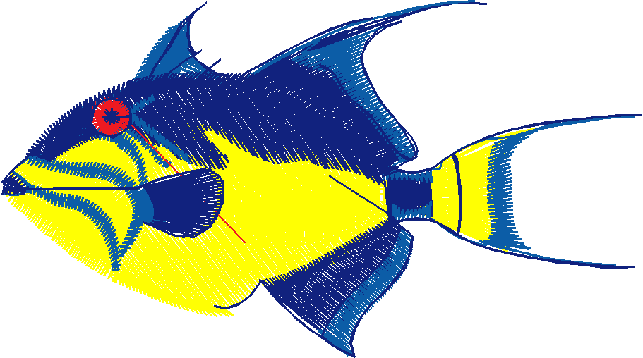 Fish 3  (13)