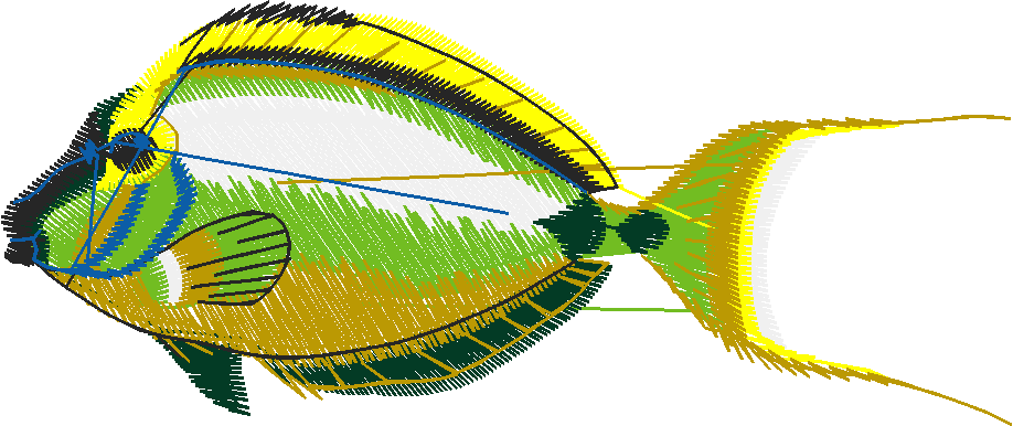 Fish 3  (15)