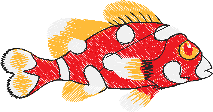 Fish 3  (19)