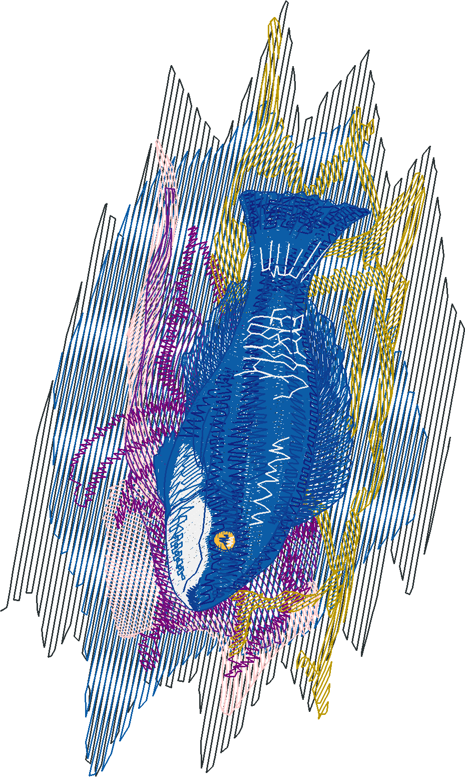 Fish 5  (11)