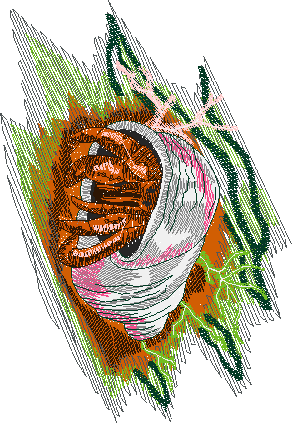 Fish 5  (14)