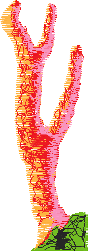Fish 6  (10)