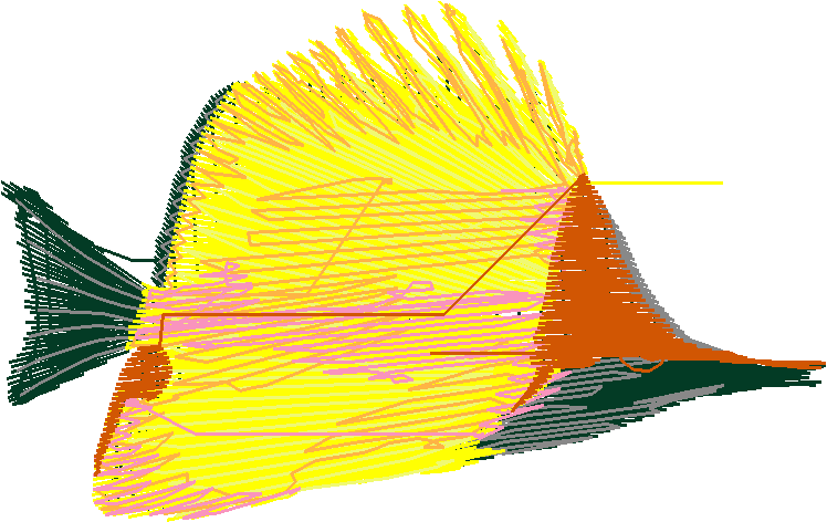 Fish 6  (4)