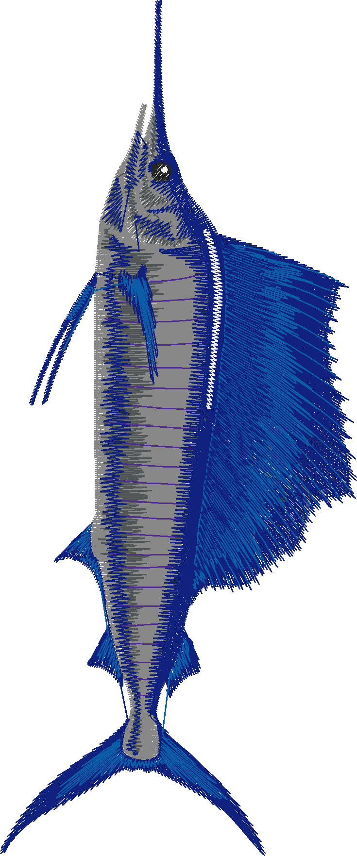 Fish 7  (10)