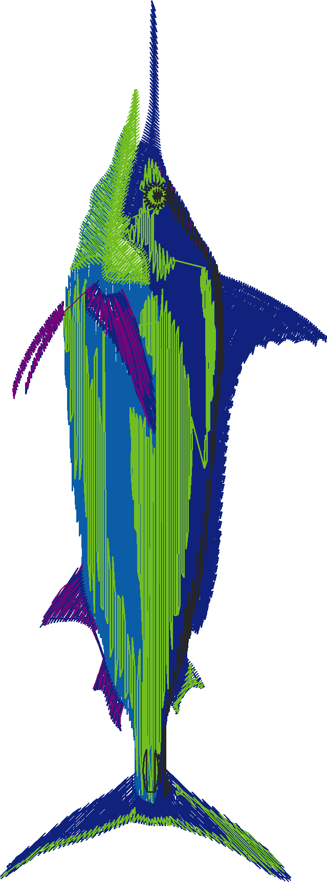 Fish 7  (2)