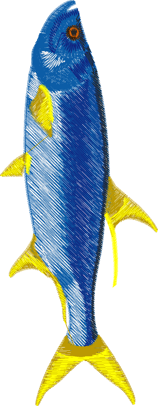 Fish 7  (3)